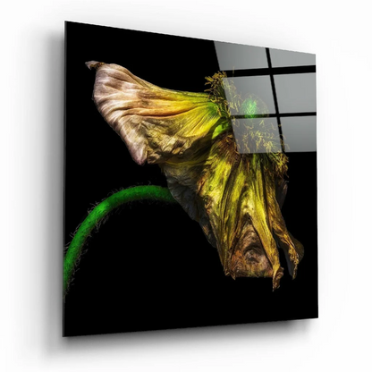 Withered Poppy Glass Wall Art With Golden Yellow Petals | Insigneart USA | vintageantiquesgifts.com