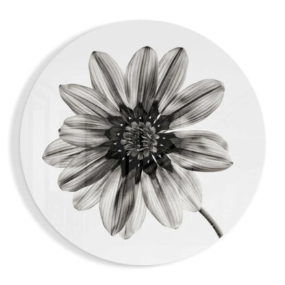 Blooming Daisy Tempered Glass Art Circle | Insigneart USA | vintageantiquesgifts.com
