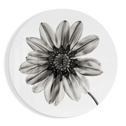Blooming Daisy Tempered Glass Art Circle | Insigneart USA | vintageantiquesgifts.com