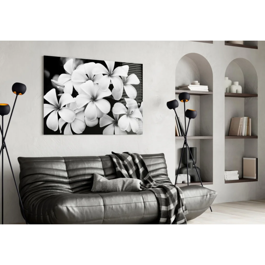 Stunning black-and-white plumeria blooms canvas wall art