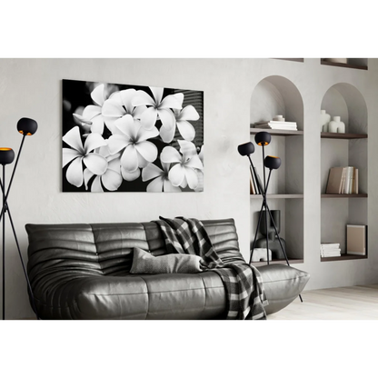 Stunning black-and-white plumeria blooms canvas wall art
