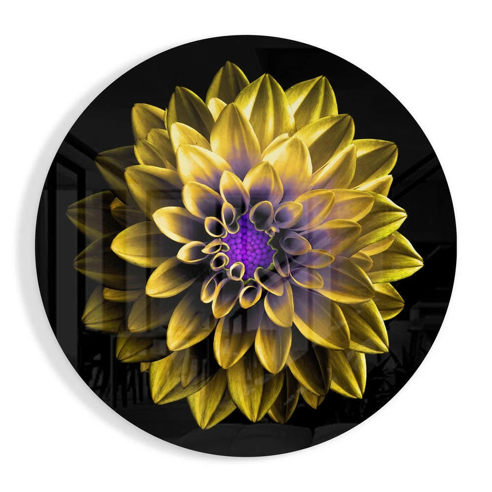 Stunning golden dahlia on vibrant tempered glass art for walls