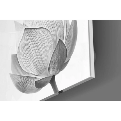 Stunning Lotus Flower Black and White Wall Art Print | Modern Wall Art Decor | vintageantiquesgifts.com