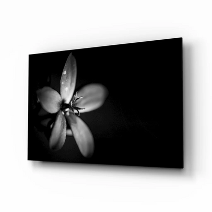 Dewy Flower black and white canvas wall art print with blurred petals