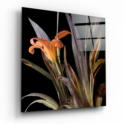 Stunning Orange Iris Glass Wall Art Collection | Insigneart USA | vintageantiquesgifts.com