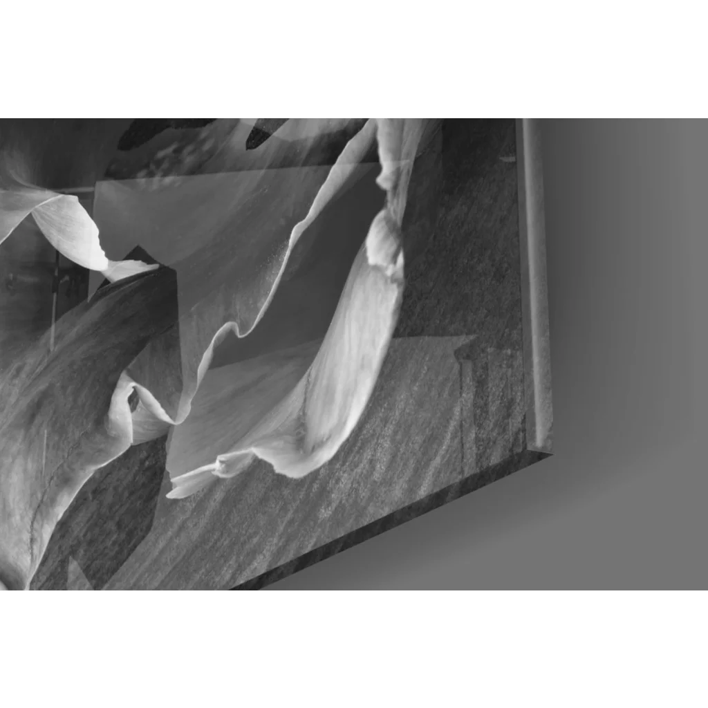 Abstract black-and-white glass wall art with flowing translucent forms