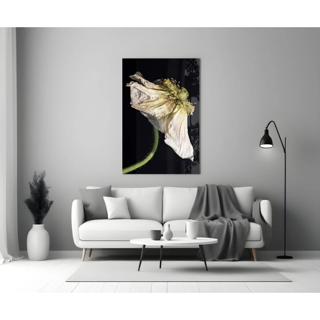 Stunning wilted poppy glass wall art in dramatic black and white
