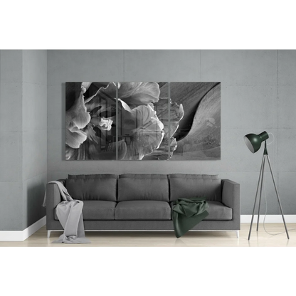 Black-and-white glass wall art triptych of layered textured petals