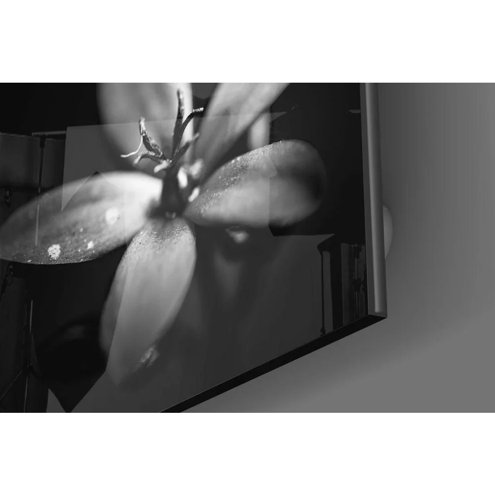 Monochrome flower dewdrops on sleek glass wall art monitor