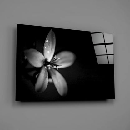 Close-up dewy flower in black-and-white on canvas wall art print