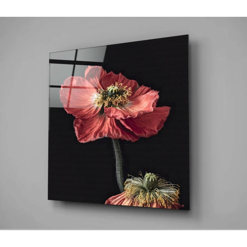 Stunning Red Poppy Glass Wall Art Panel | Modern Wall Art Decor | vintageantiquesgifts.com