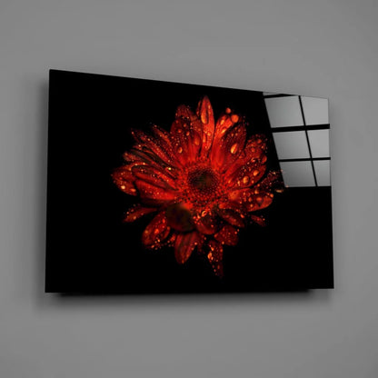 Stunning Red Gerbera Daisy Glass Wall Art with Dewdrops | Glass Wall Art Print | vintageantiquesgifts.com