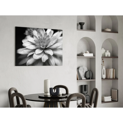 Black-and-white dewy dahlia canvas wall art with water drops