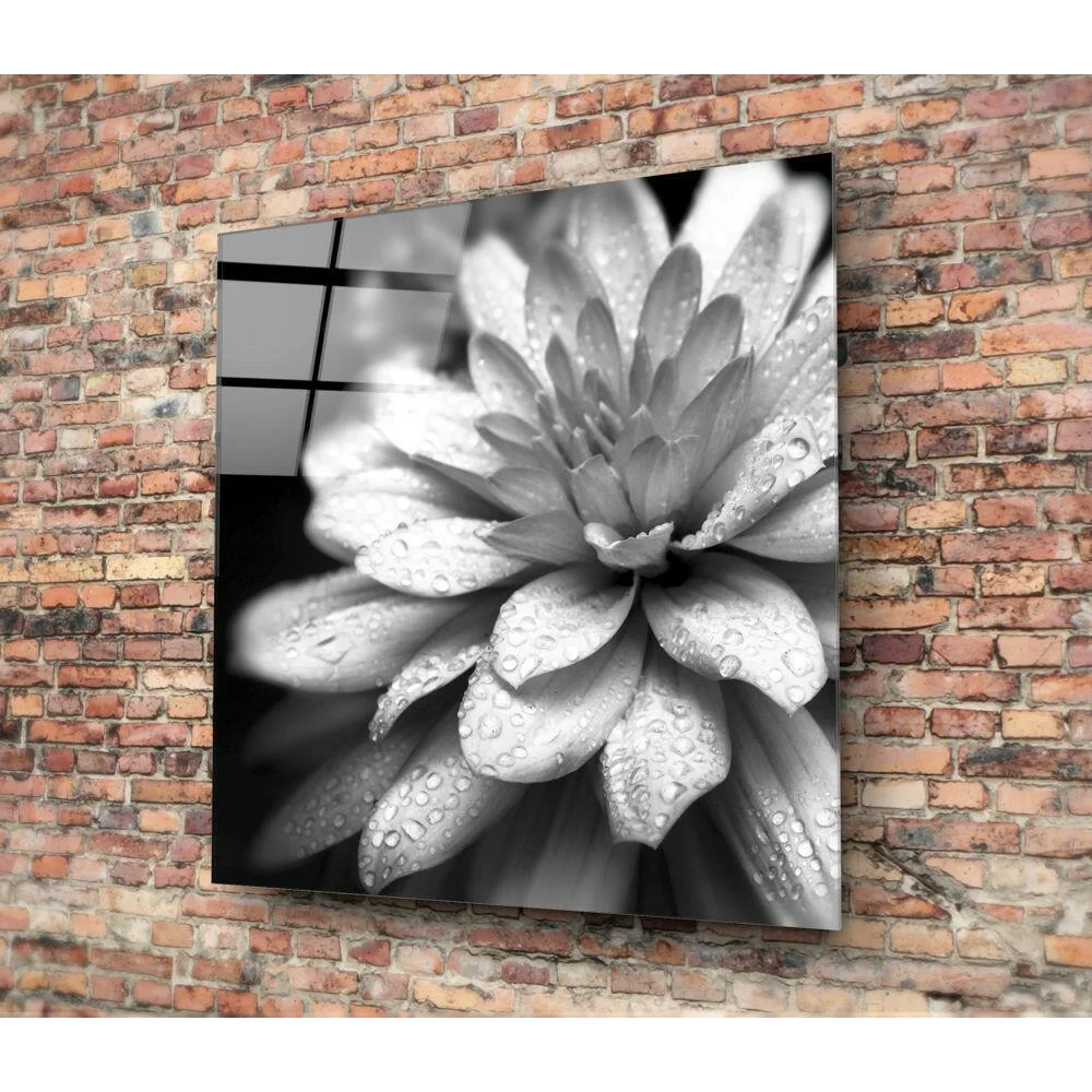 Black-and-white dewdrop dahlia glass wall art on brick