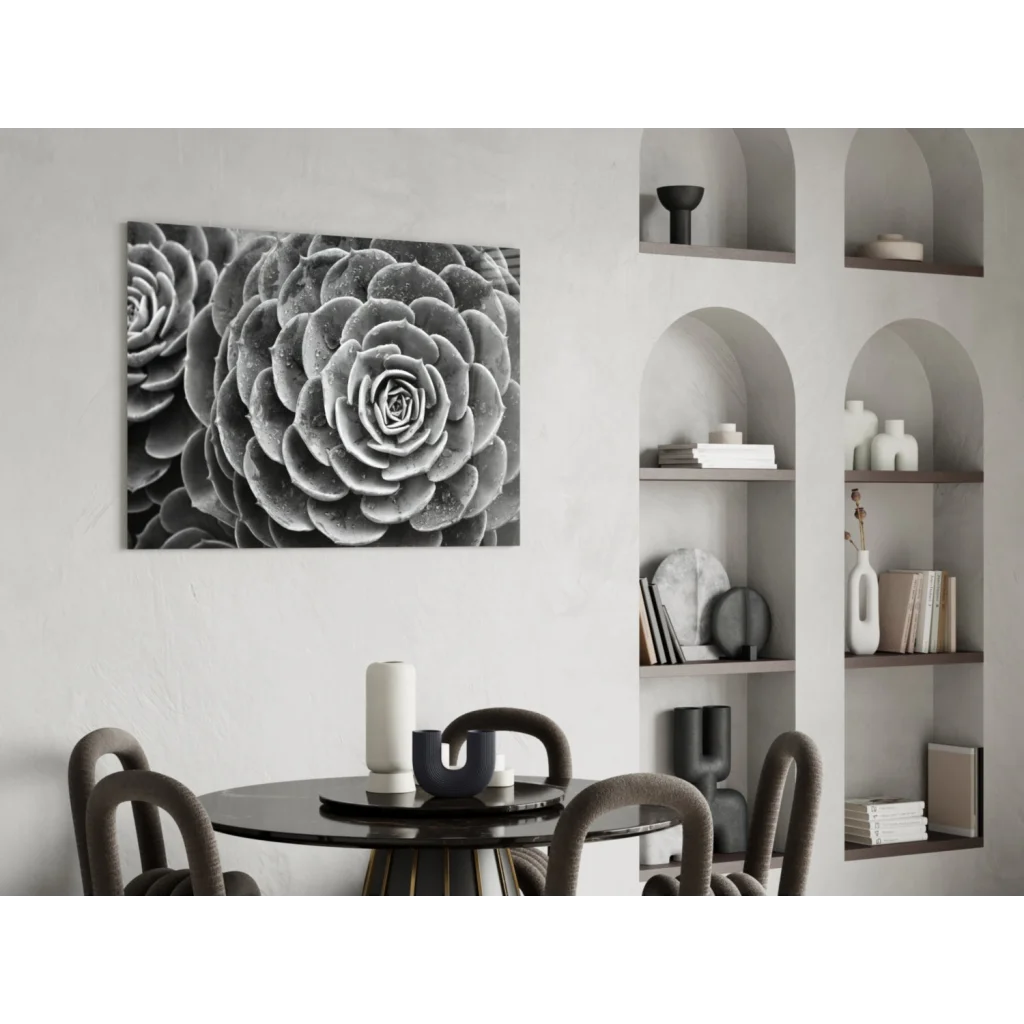 Black-and-white spiral succulent wall art canvas close-up