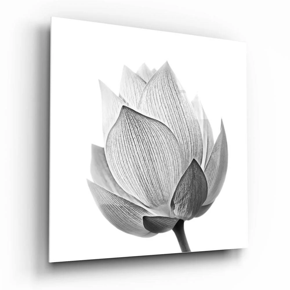 Stunning Lotus Flower Black and White Wall Art Print | Insigneart USA | vintageantiquesgifts.com