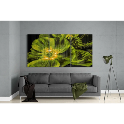 Vibrant green poppy glass wall art triptych on canvas