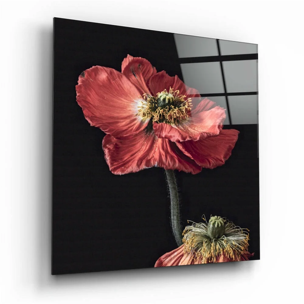 Stunning Red Poppy Glass Wall Art Panel | Insigneart USA | vintageantiquesgifts.com