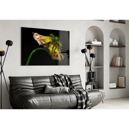 Vibrant yellow poppy glass wall art on black canvas print