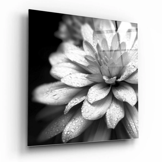 Black-and-white dewdrop dahlia glass wall art close-up