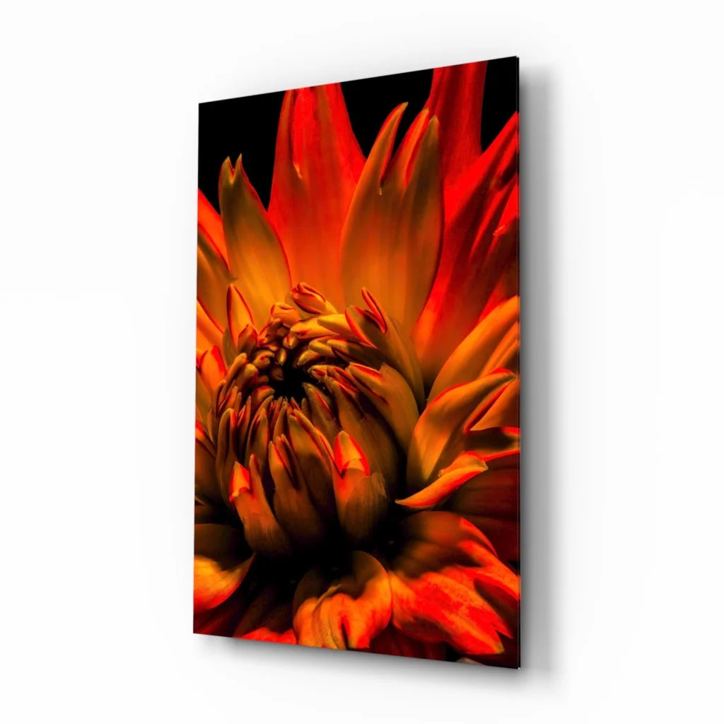 Vibrant orange red dahlia glass wall art print in sleek black frame