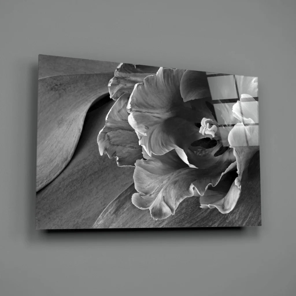 Black-and-white glass wall art print of ruffled petals close-up