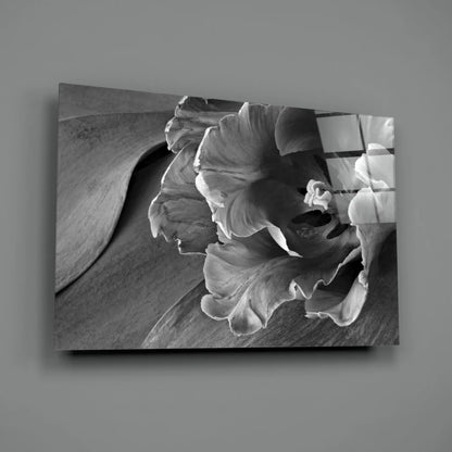 Black-and-white glass wall art print of ruffled petals close-up