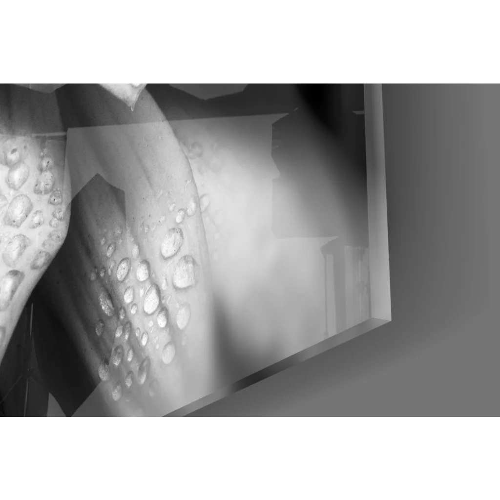Black-and-white dewy dahlia wall art with textured water drops on glass