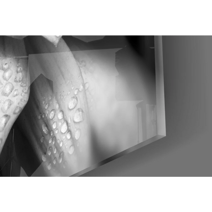 Black-and-white dewy dahlia wall art with textured water drops on glass