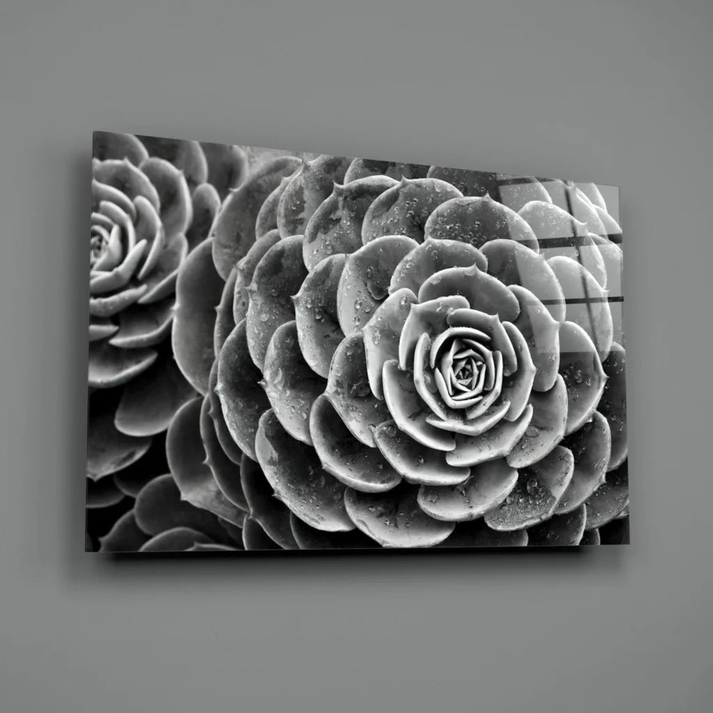 Black-and-white spiral succulent wall art canvas print with dewy rosette leaves