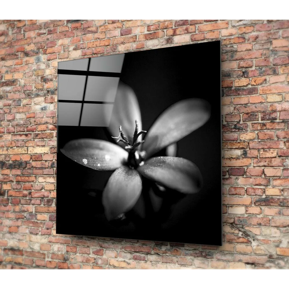 Monochrome glass wall art of dewy flower close-up
