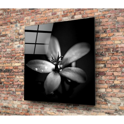 Monochrome glass wall art of dewy flower close-up
