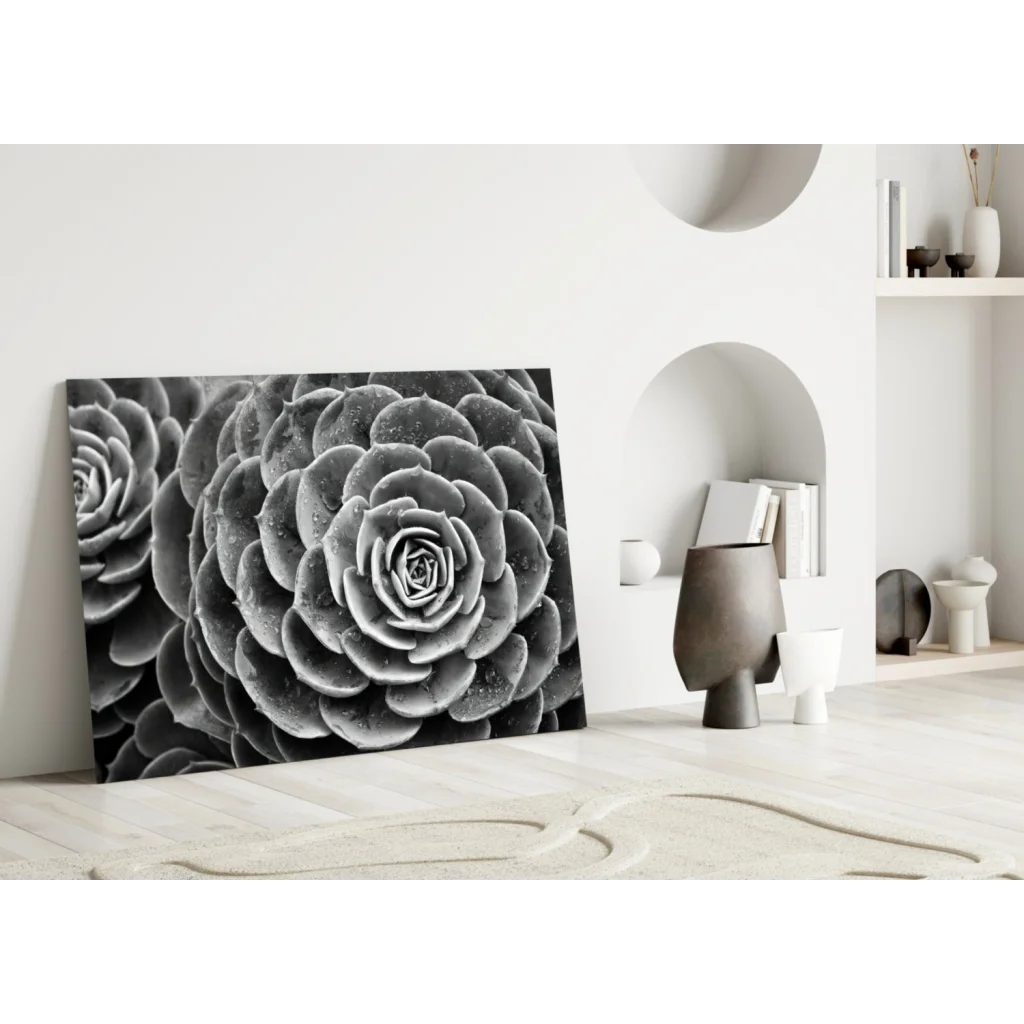 Black and white spiral succulent wall art canvas print close-up