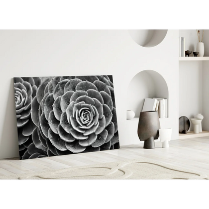 Black and white spiral succulent wall art canvas print close-up