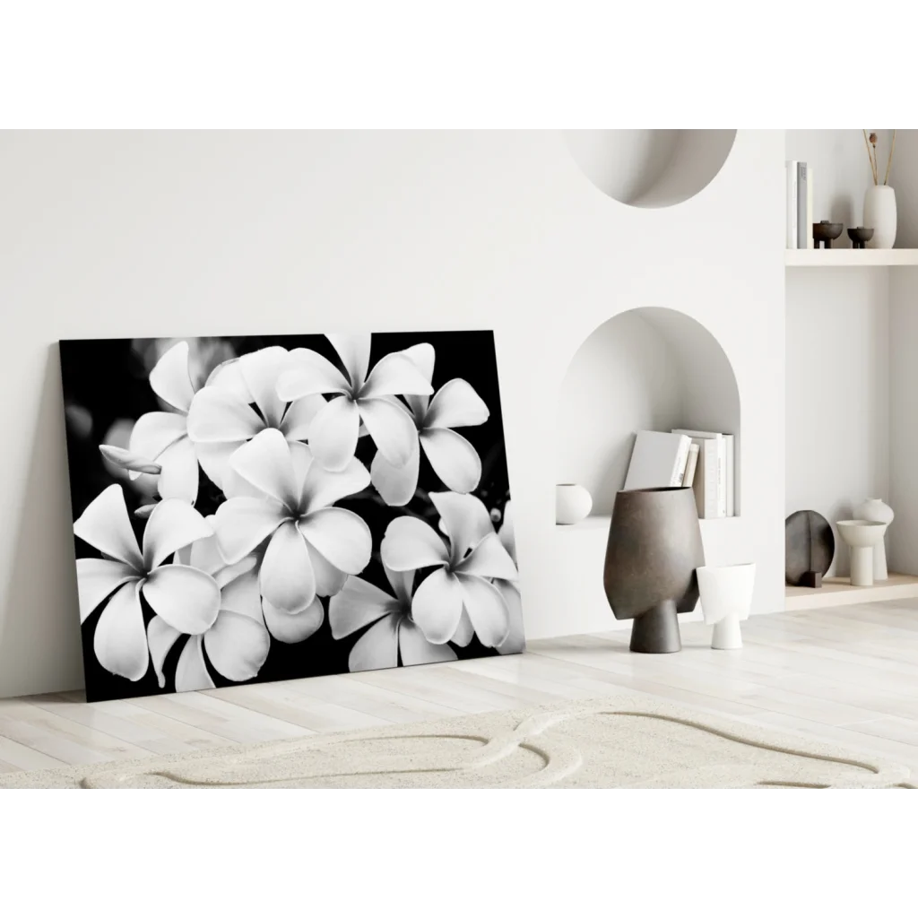 Black and white plumeria blooms canvas wall art print
