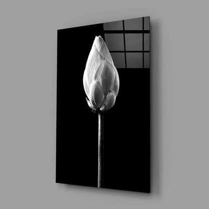 Black-and-white lotus bud wall art print on canvas