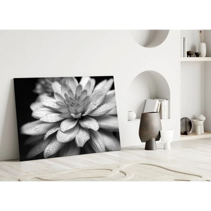 Dewy Dahlia Black and White Canvas Wall Art with Water Drops | Modern Wall Art Decor | vintageantiquesgifts.com