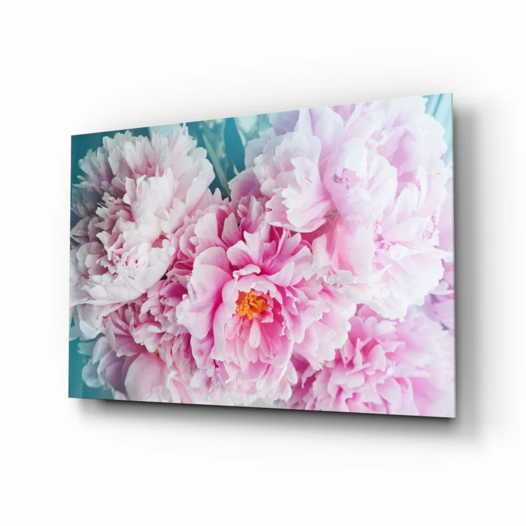 Blooming pink peonies canvas wall art on teal background