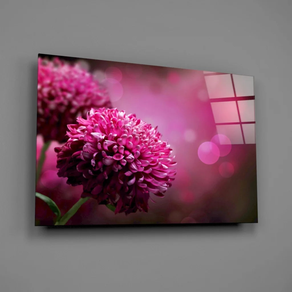 Vibrant pink chrysanthemum glass wall art with bokeh glow and floral close-up
