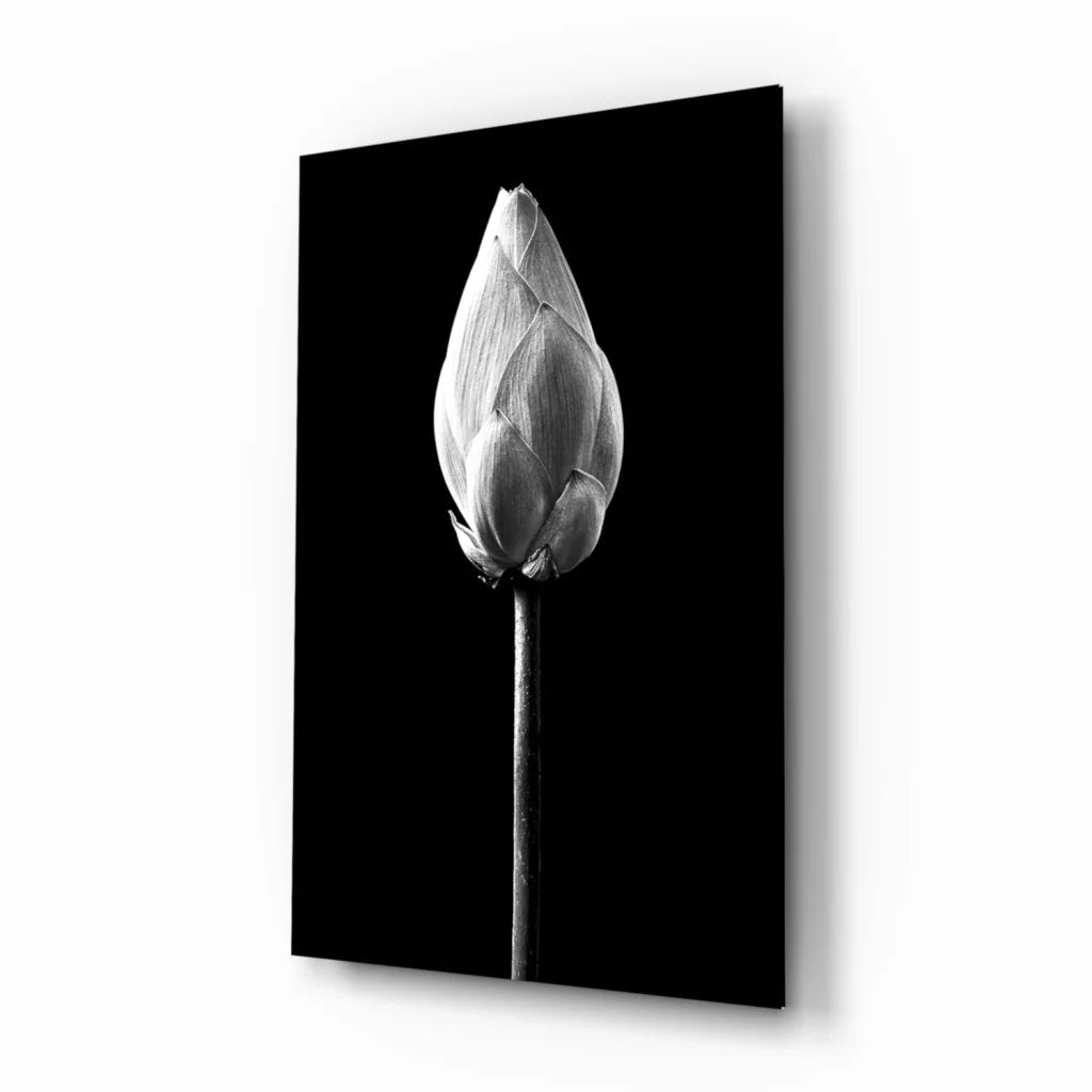 Black and white lotus bud canvas wall art print