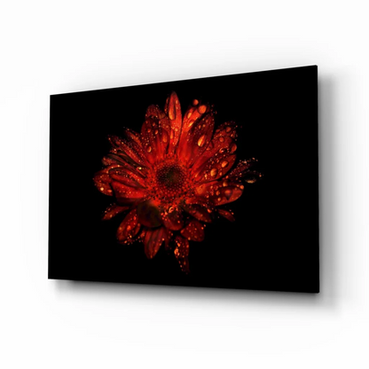 Stunning Red Gerbera Daisy Glass Wall Art with Dewdrops | Insigneart USA | vintageantiquesgifts.com
