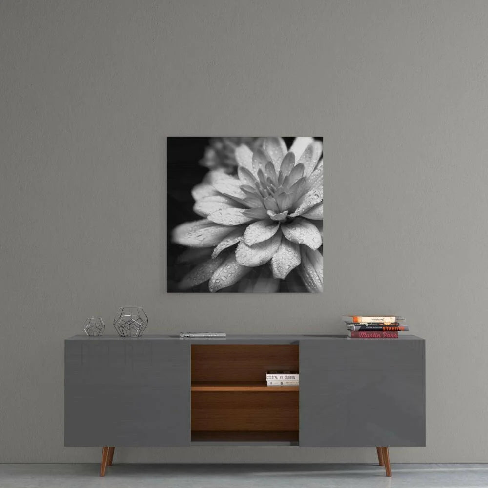 Black-and-white dewdrop dahlia glass wall art print