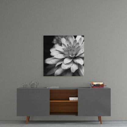 Black-and-white dewdrop dahlia glass wall art print