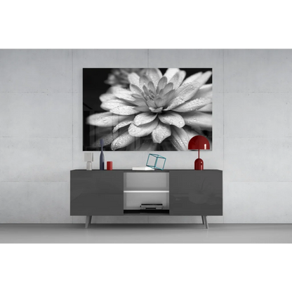 Black and white dewy dahlia succulent flower canvas wall art