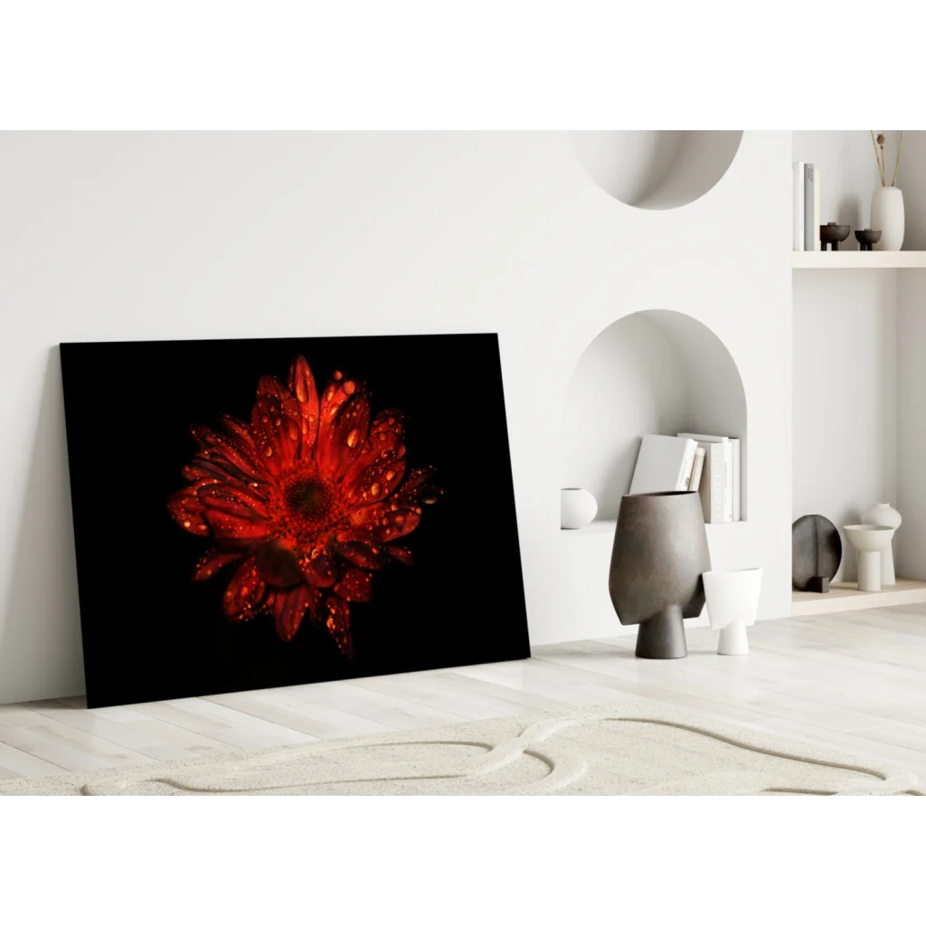 Stunning Red Gerbera Daisy Glass Wall Art with Dewdrops | Modern Wall Art Decor | vintageantiquesgifts.com