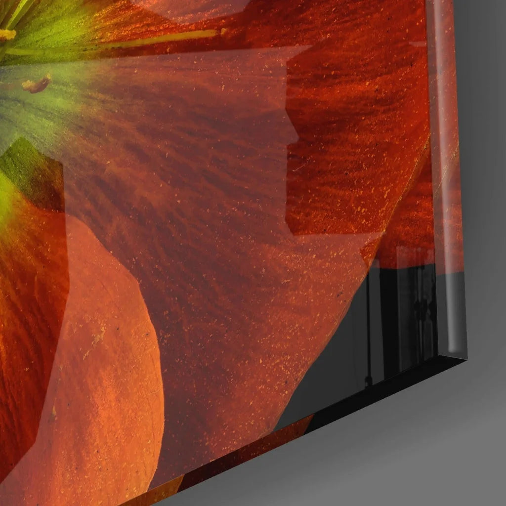 Stunning orange poppy glass wall art with vibrant red green abstract floral glossy finish