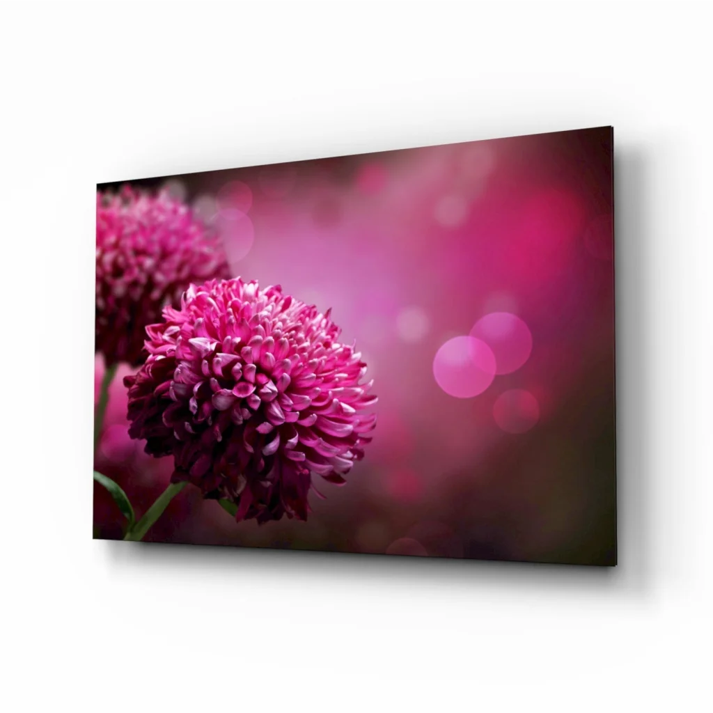Vibrant pink chrysanthemum glass wall art with bokeh glow