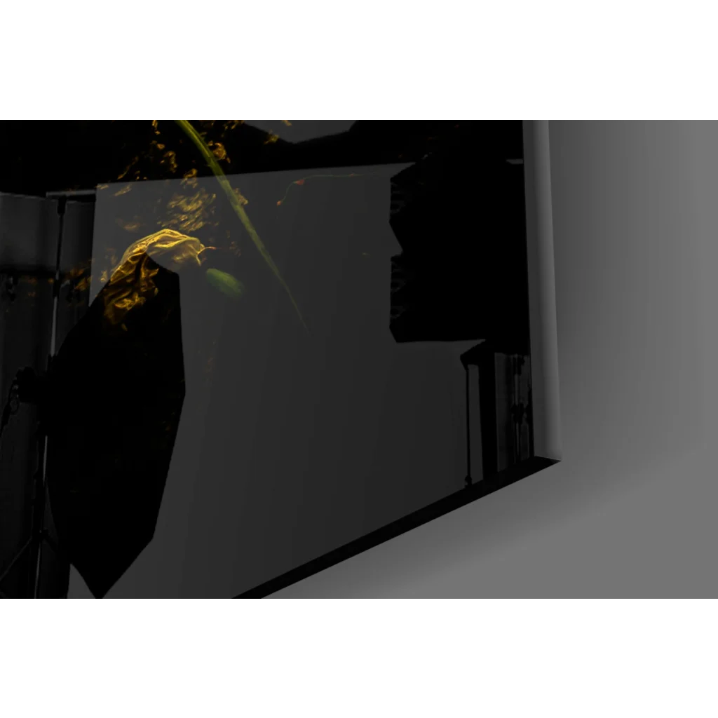 Sleek dark gray monitor in Golden Skull glass wall art design