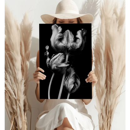 Black and white tulip on insigne aluminum print with dramatic lighting