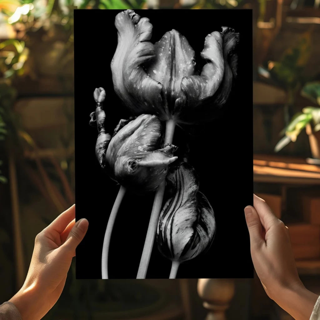 Black and white tulip photo on insigne aluminum print, held by hands